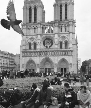 IMG_8453