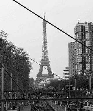 IMG_8455