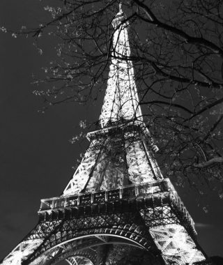IMG_8483